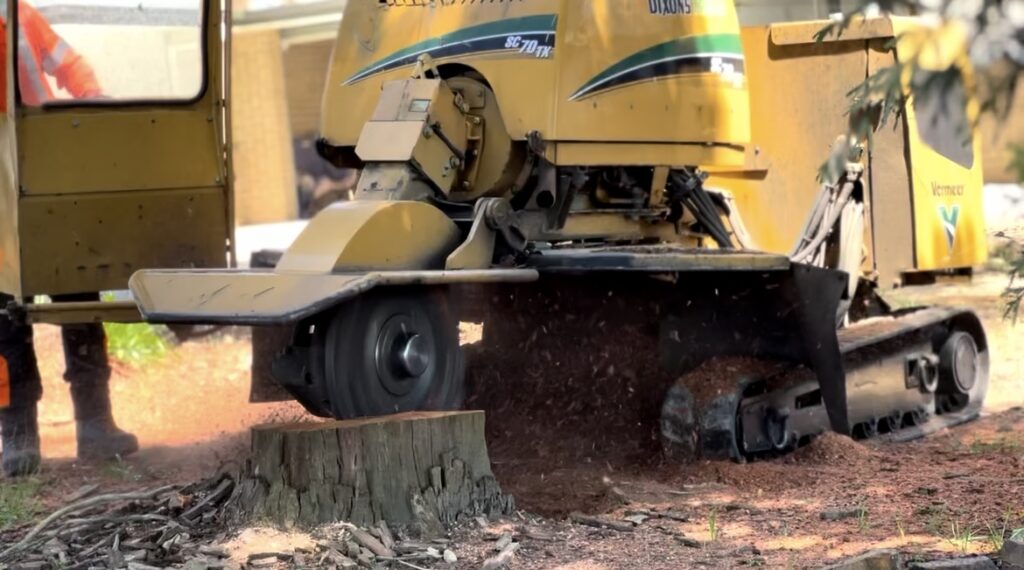 Machine stump grinder in use