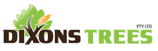 Dixons Trees | Central Coast